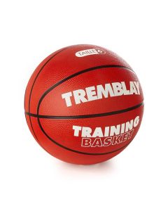 Ballon de basket Training T7 6 5 ou 3