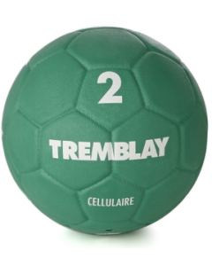 Ballon de Handball CELLULAIRE'HAND Taille 2
