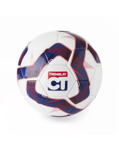 Ballon football TRAINING Taille 5